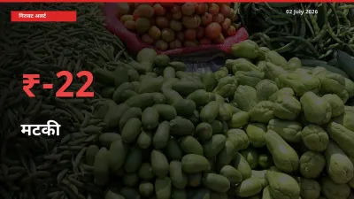 तेज़ गिरावट! मंडी में मटकी के दाम 22.12% लुढ़के