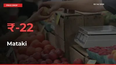 Farmers Alert as Mataki Prices Slide 22.12% in Local Mandis