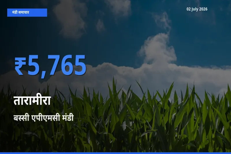 किसानों की पसंद बना बस्सी एपीएमसी, तारामीरा के सबसे अच्छे दाम