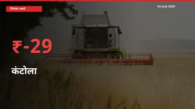 कंटोला 28.99% गिरा, मंडी