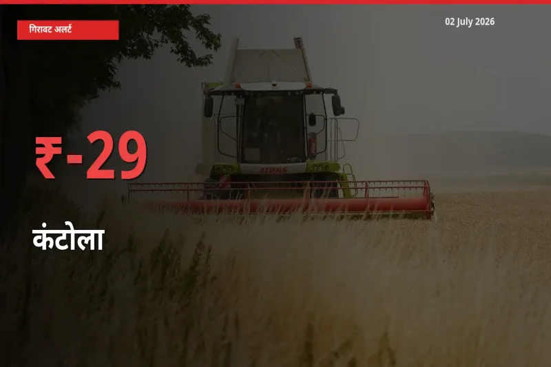 कंटोला 28.99% गिरा, मंडी