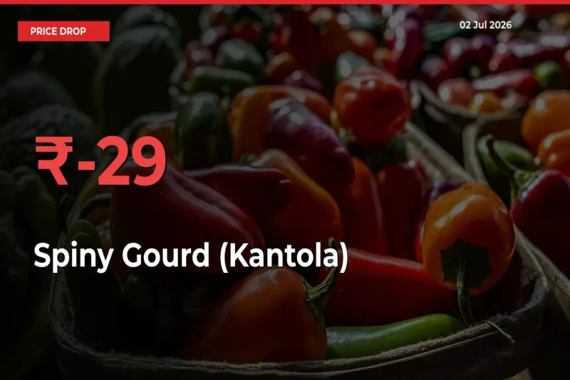 Spiny Gourd (Kantola) Falls 28.99% at Mandis