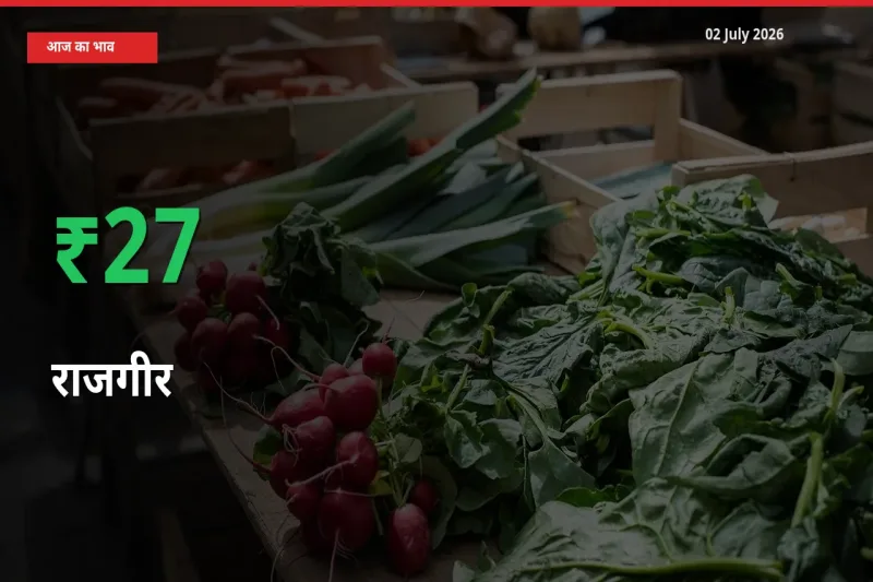 02 July अपडेट: राजगीर के दाम मंडी में 27.34% उछले