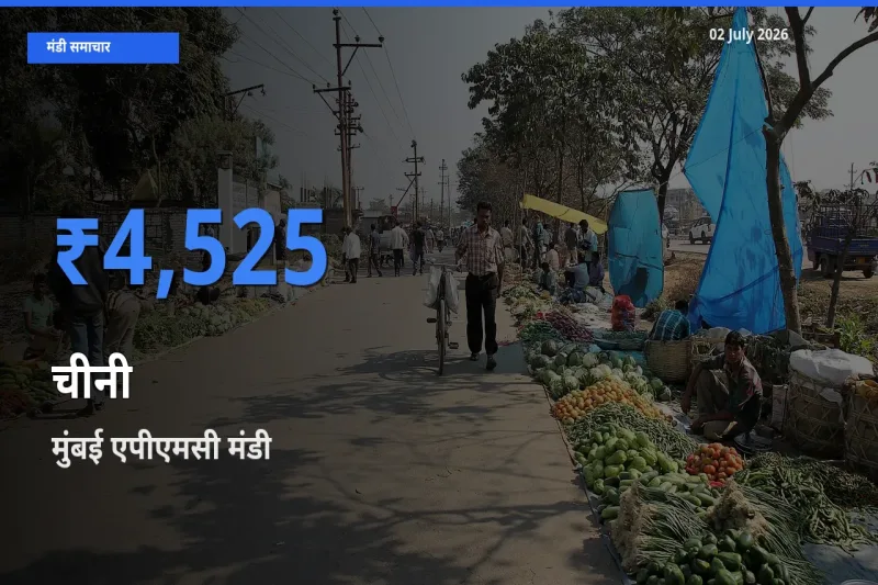 मुंबई एपीएमसी में चीनी का आज सबसे ऊँचा भाव