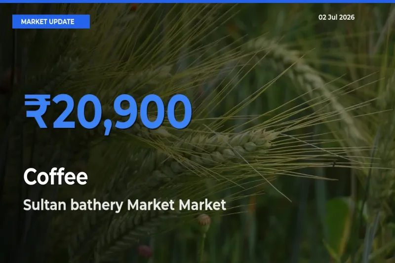 Sultan bathery Market Offers ₹20,900 – Highest Coffee Rate Today