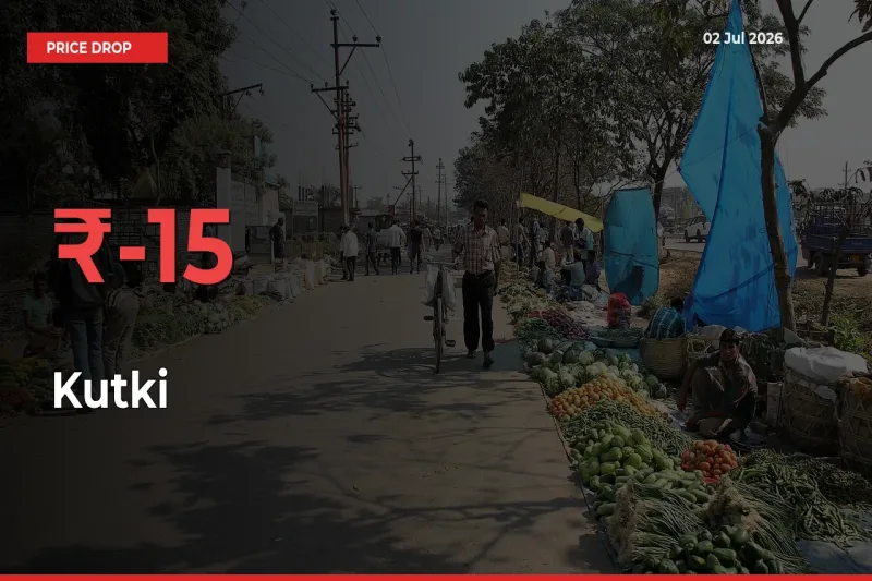 Kutki Prices Drop 15.09% – July 02 Market Update from Mandis