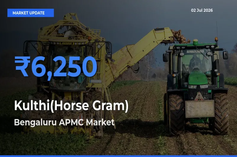 Bengaluru APMC Emerges as Top Mandi for Kulthi(Horse Gram) Prices Today