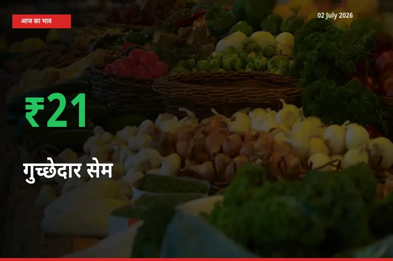 गुच्छेदार सेम के दाम प्रमुख मंडी में 21.34% बढ़े, 24 घंटे में बड़ा बदलाव