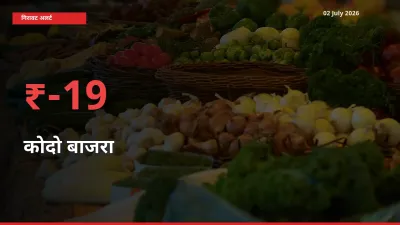 किसानों की चिंता बढ़ी! स्थानीय मंडी में कोदो बाजरा 18.64% गिरा