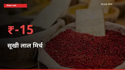 15.05% की गिरावट! मंडी में सूखी लाल मिर्च के दाम अचानक टूटे