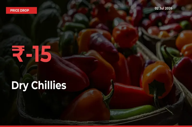 Dry Chillies Prices Drop 15.05% – July 02 Market Update from Mandis