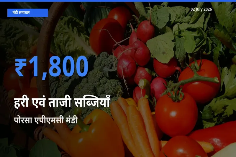 आज का मंडी भाव: हरी एवं ताजी सब्जियाँ के सबसे ज़्यादा दाम पोरसा एपीएमसी में