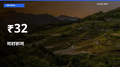 मशरूम का ट्रेंड कई मंडियों में साफ