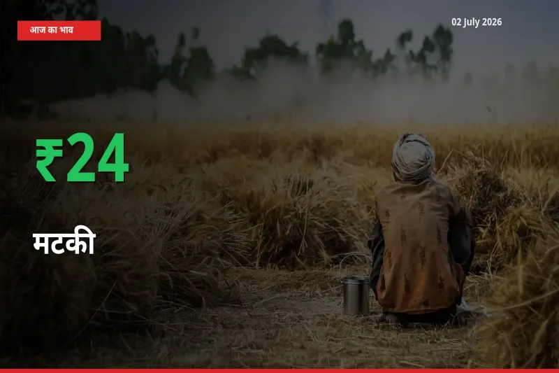 स्थानीय मंडी में मटकी के दाम अचानक 23.81% उछले, किसान सतर्क