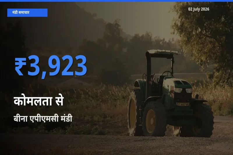 आज कोमलता से के सबसे ज़्यादा दाम बीना एपीएमसी मंडी में दर्ज