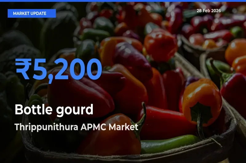 Thrippunithura APMC Tops Bottle gourd Mandi Rates Today