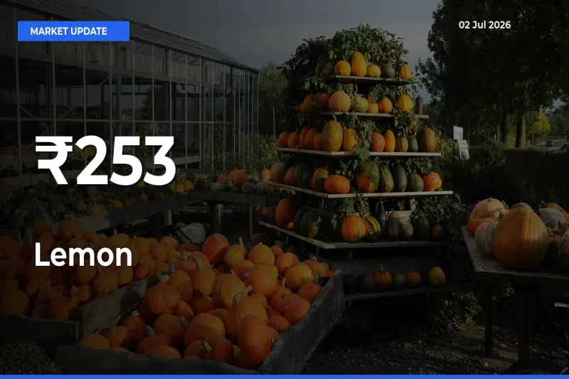 Multi-Mandi Trend Emerges as Lemon Prices Shift Across Key Markets