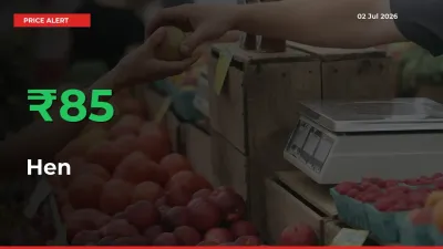 Hen Rises 84.75% at Mandis
