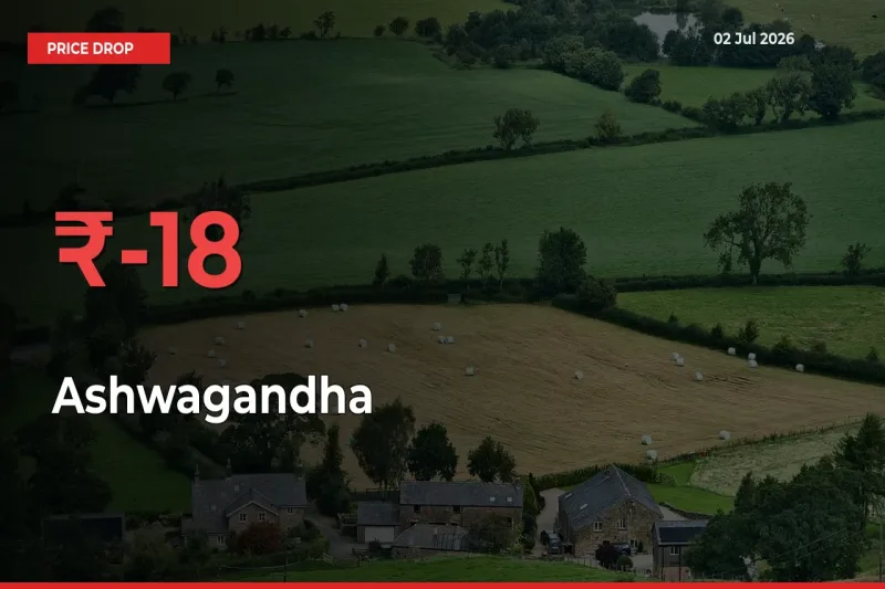 This Mandi Records 18% Fall in Ashwagandha Prices