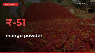 Sharp Fall! mango powder Prices Plunge 51.18% in a Day at Key Mandis