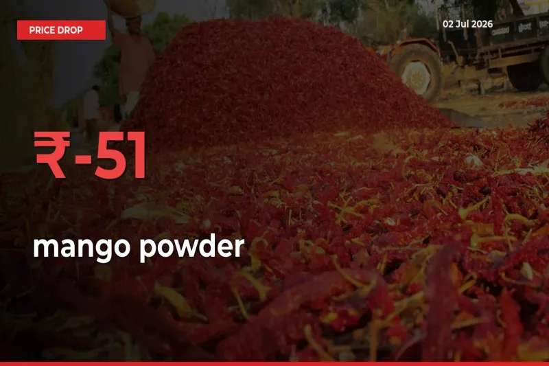 Sharp Fall! mango powder Prices Plunge 51.18% in a Day at Key Mandis