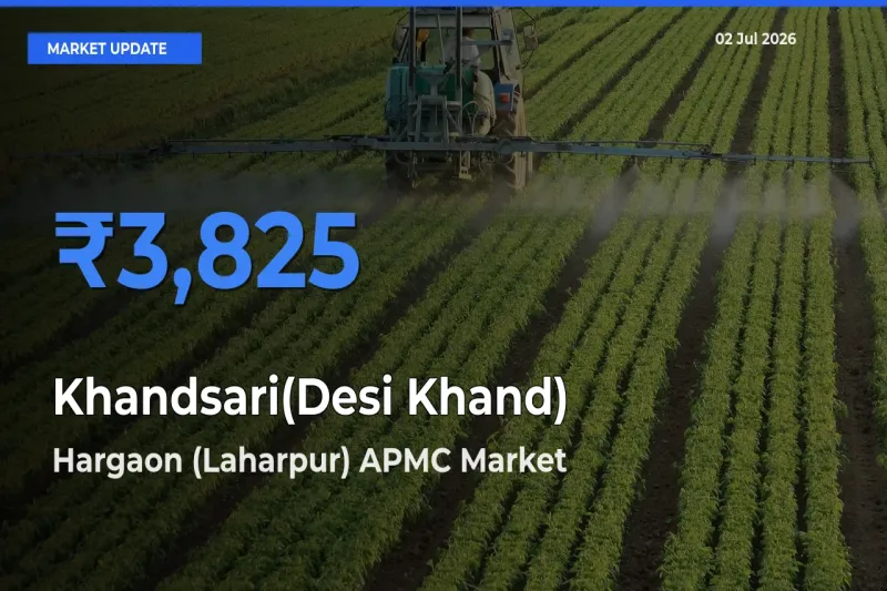Market Watch: Hargaon (Laharpur) APMC Becomes Top Mandi for Khandsari(Desi Khand)