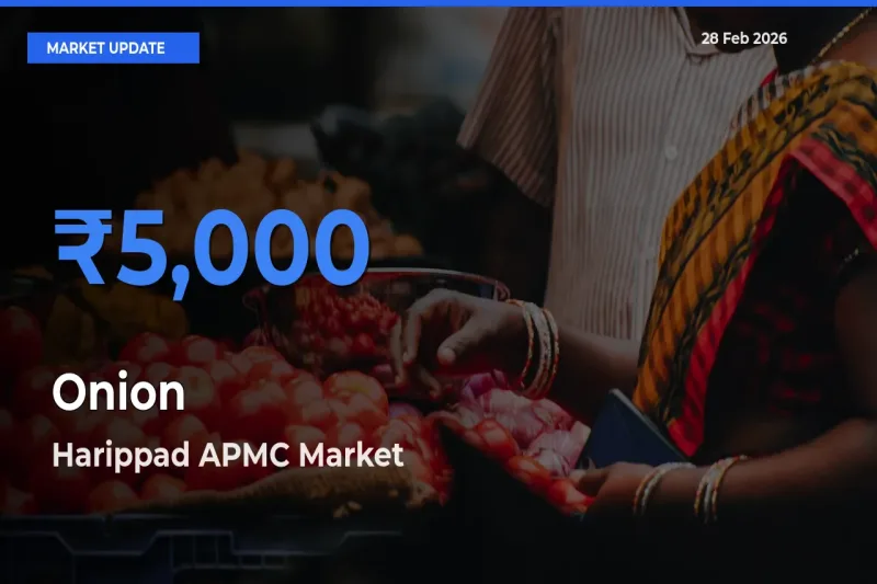 Harippad APMC Leads as Top Mandi for Onion Prices