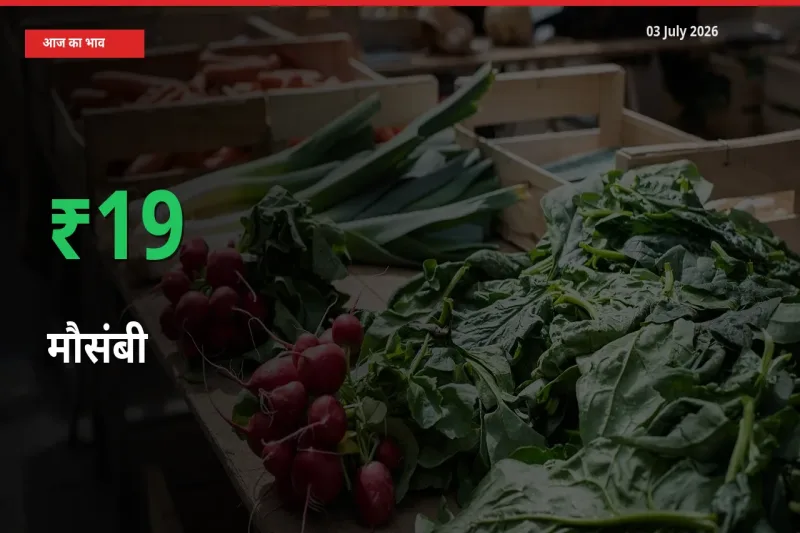 03 July अपडेट: मौसंबी के दाम मंडी में 18.63% उछले