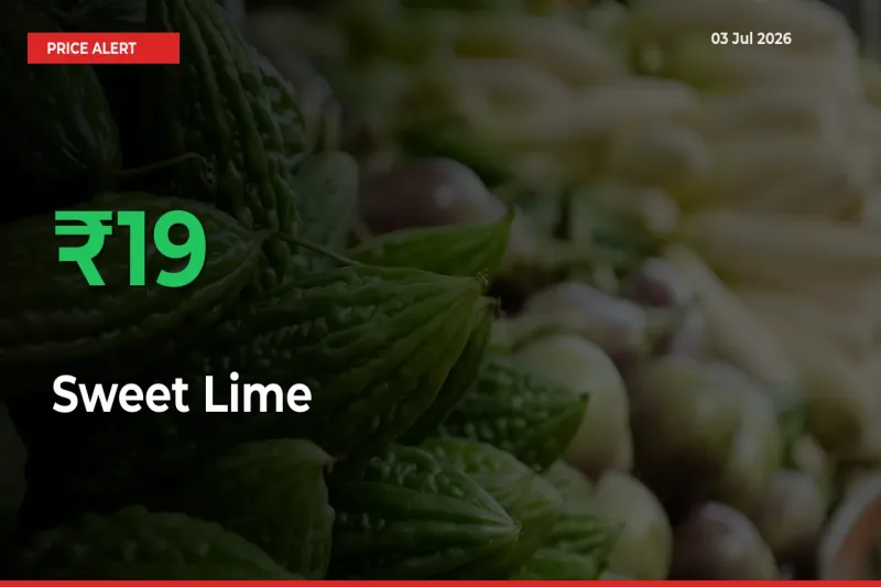 18.63% Spike in Sweet Lime Prices – Mandi Sees Sudden Rally