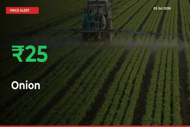 25.28% Spike in Onion Prices – Mandi Sees Sudden Rally