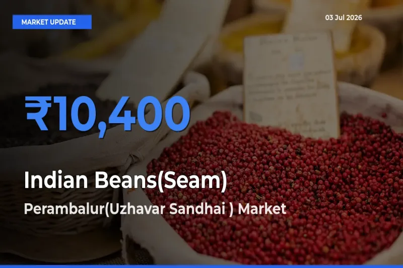 Perambalur(Uzhavar Sandhai ) Tops Indian Beans(Seam) Rates – July 03 Market Update