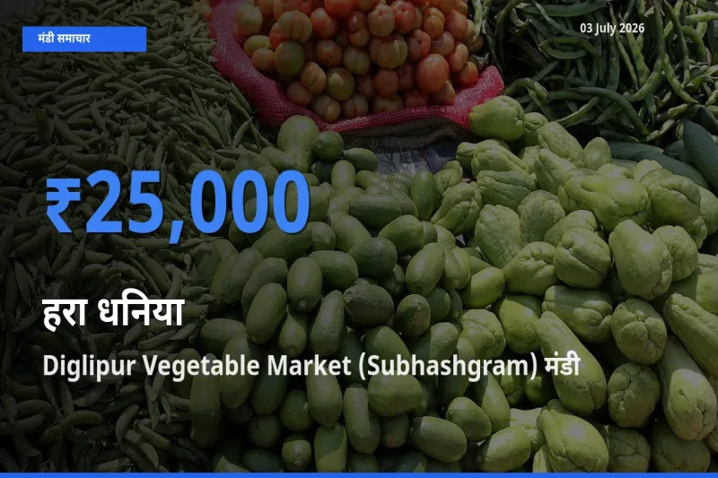 किसानों की पसंद बना Diglipur Vegetable Market (Subhashgram), हरा धनिया के सबसे अच्छे दाम