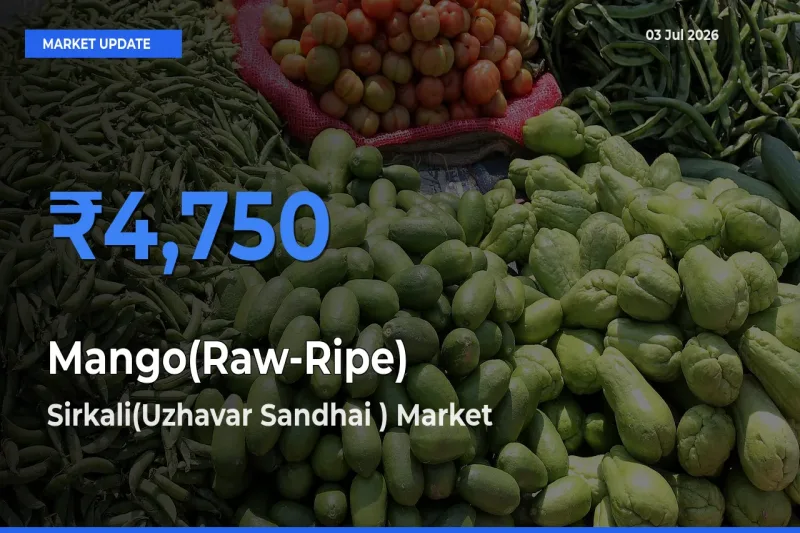 Market Watch: Sirkali(Uzhavar Sandhai ) Becomes Top Mandi for Mango(Raw-Ripe)