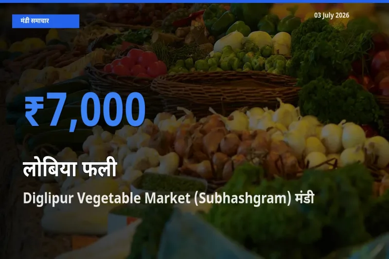 Diglipur Vegetable Market (Subhashgram) में लोबिया फली का आज सबसे ऊँचा भाव