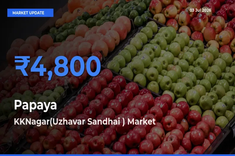 KKNagar(Uzhavar Sandhai ) Records Highest ₹4,800 Rate for Papaya