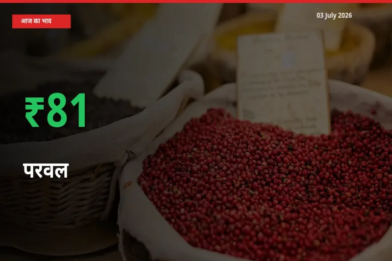 परवल 81.17% उछला, मंडी