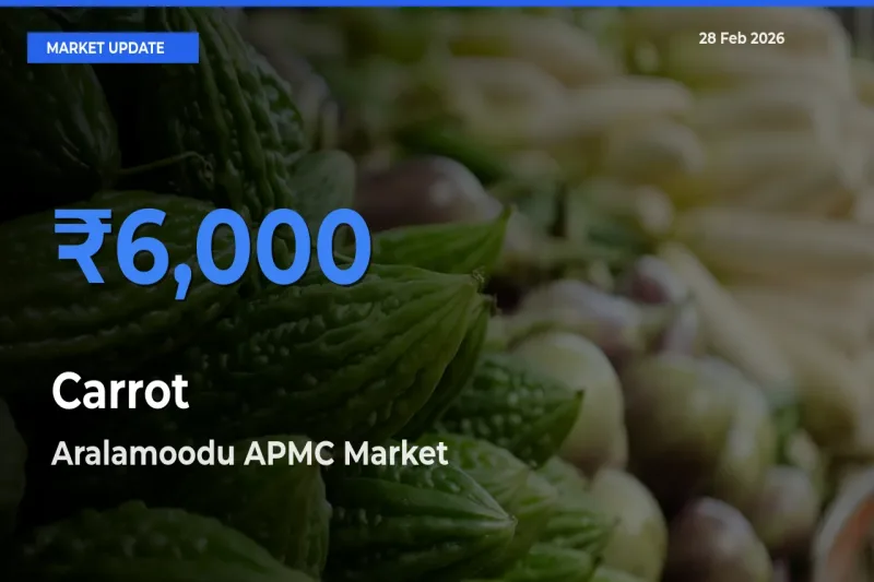 Aralamoodu APMC Emerges as Top Mandi for Carrot Prices Today