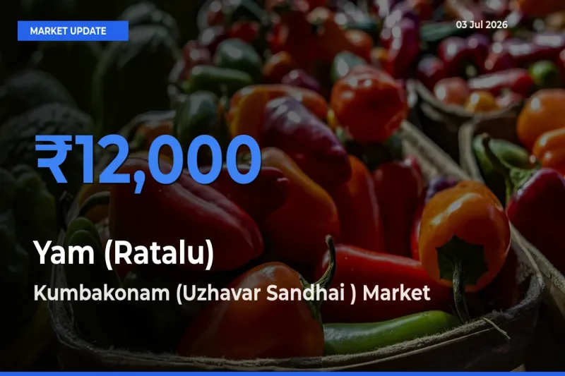 Market Watch: Kumbakonam (Uzhavar Sandhai ) Becomes Top Mandi for Yam (Ratalu)
