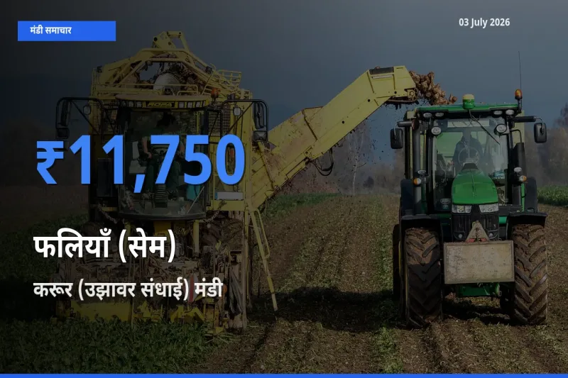 बाज़ार संकेत: करूर (उझावर संधाई) बना फलियाँ (सेम) के लिए आज की टॉप मंडी