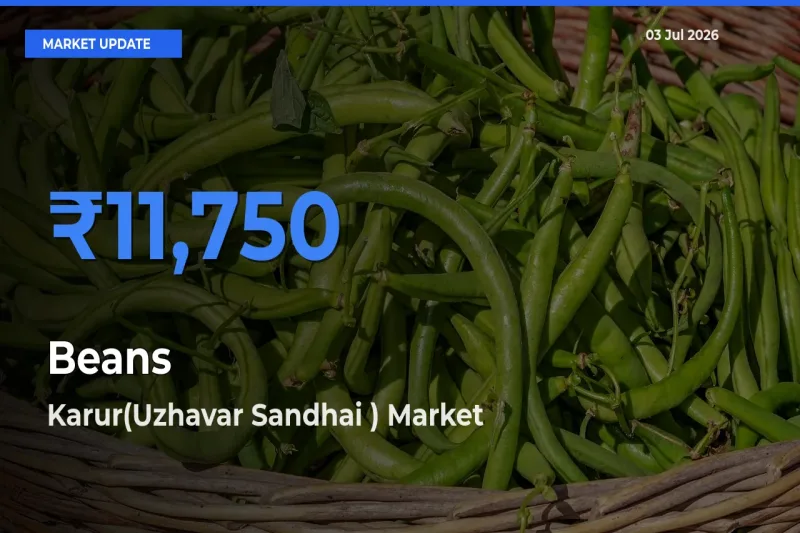 Market Watch: Karur(Uzhavar Sandhai ) Becomes Top Mandi for Beans