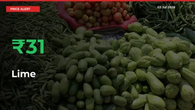 Farmers Cheer as Lime Prices Surge 30.73% in Local Mandis