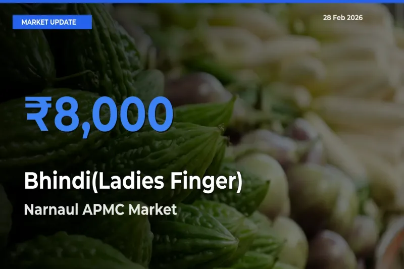 Narnaul APMC Tops Bhindi(Ladies Finger) Mandi Rates Today
