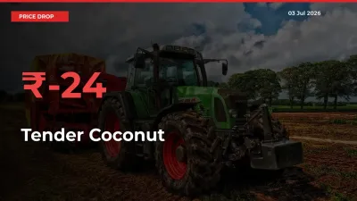 Tender Coconut Mandi Rate Today: Prices Fall 23.76% at Market