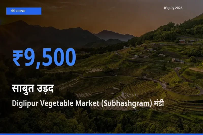 Diglipur Vegetable Market (Subhashgram) मंडी में आज साबुत उड़द के सबसे ऊँचे दाम दर्ज
