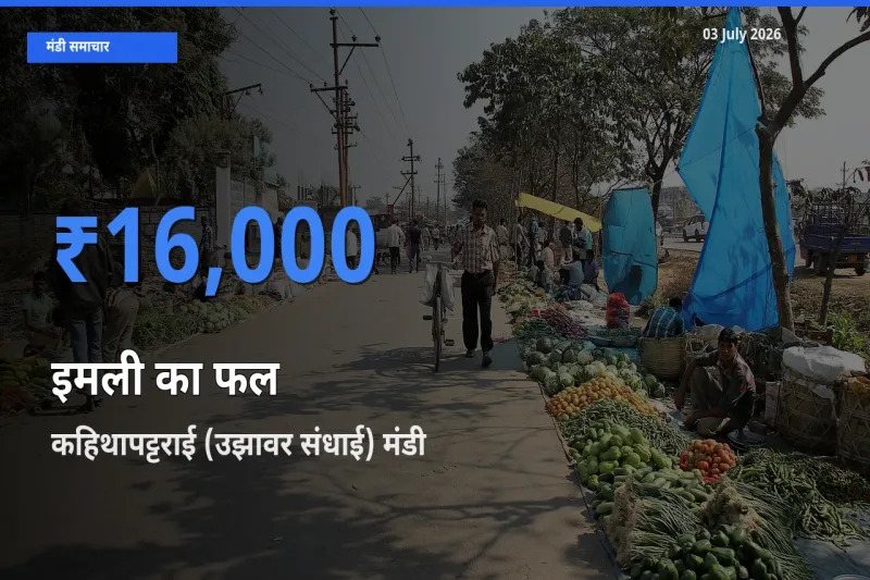 किसानों की पसंद बना कहिथापट्टराई (उझावर संधाई), इमली का फल के सबसे अच्छे दाम