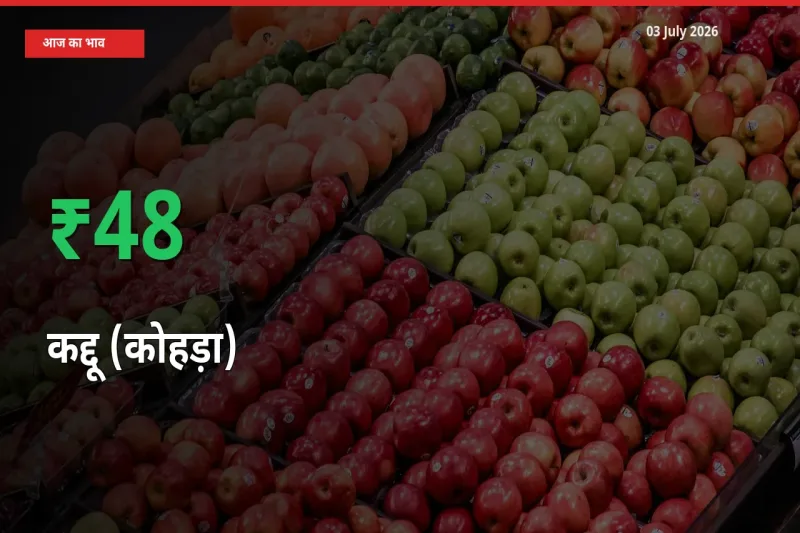 कद्दू (कोहड़ा) के दाम प्रमुख मंडी में 48.48% बढ़े, 24 घंटे में बड़ा बदलाव