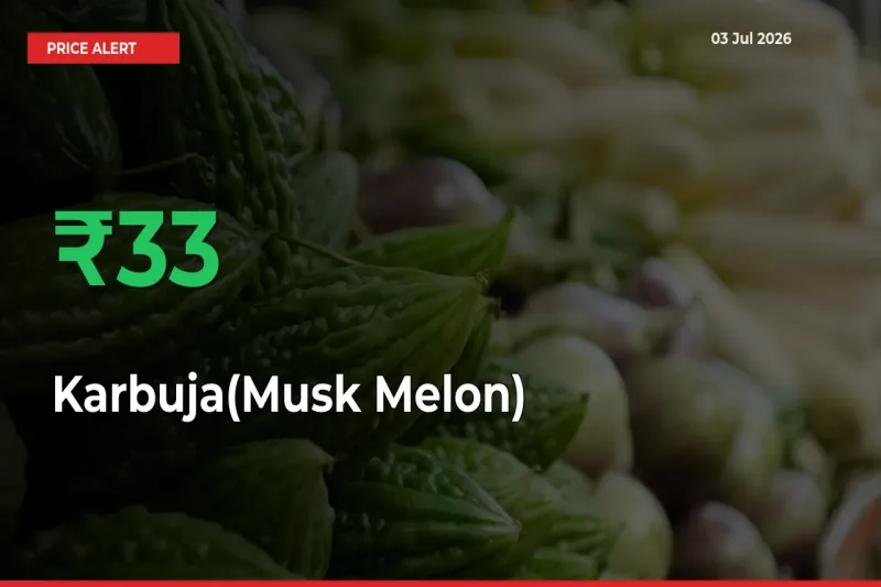 Why Karbuja(Musk Melon) Prices Rose 32.54% in a Day at Mandis