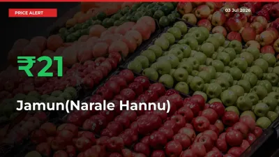 21.29% Spike in Jamun(Narale Hannu) Prices – Mandi Sees Sudden Rally