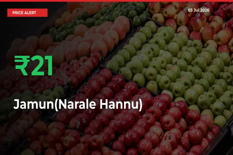 21.29% Spike in Jamun(Narale Hannu) Prices – Mandi Sees Sudden Rally