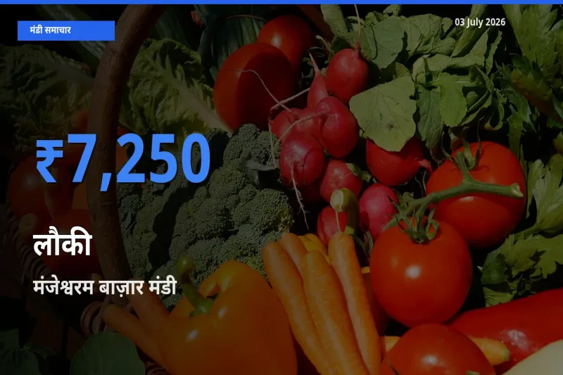 आज लौकी के सबसे ऊँचे दाम ₹7,250 मंजेश्वरम बाज़ार मंडी में
